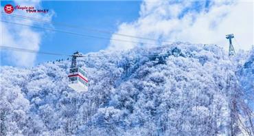 Tour Nhật Bản Đón Tết Nguyên Đán 6N5Đ Đến Với Thế Giới Tuyết Trắng